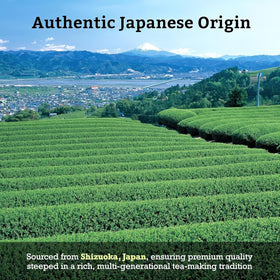 Sugimoto Tea Sencha Fukamushi offers versatile hot or cold brew options