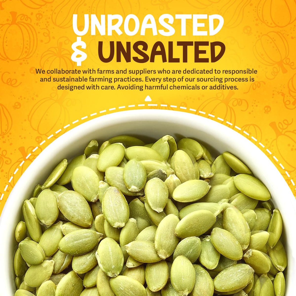 Sunbest Natural raw pumpkin seeds close-up, unroasted and protein-rich.