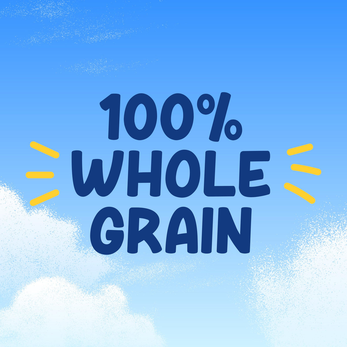 Perfect lunchbox snack with a Garden Salsa twist and whole-grain base.