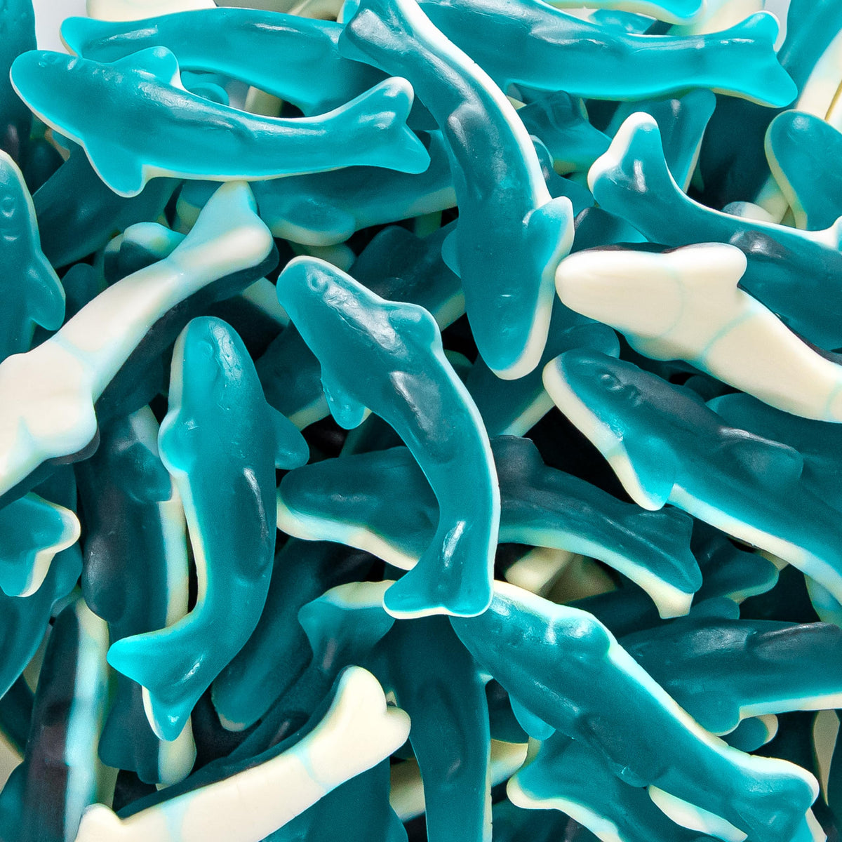 Sunny Island Blue Sharks Gummy Candy bag ready for sharing at parties