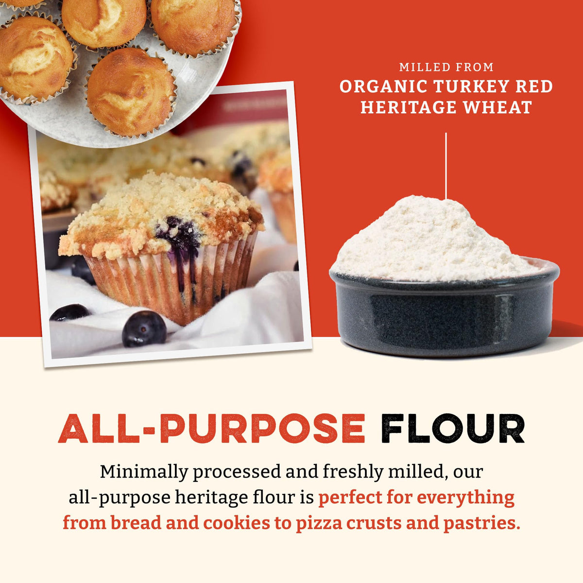 Sunrise Flour Mill flour-dusted counter showing dough readiness for baking