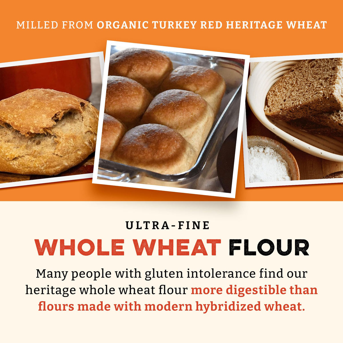 Sunrise Flour Mill dough texture closeup highlights airy crumb from single pass milling.