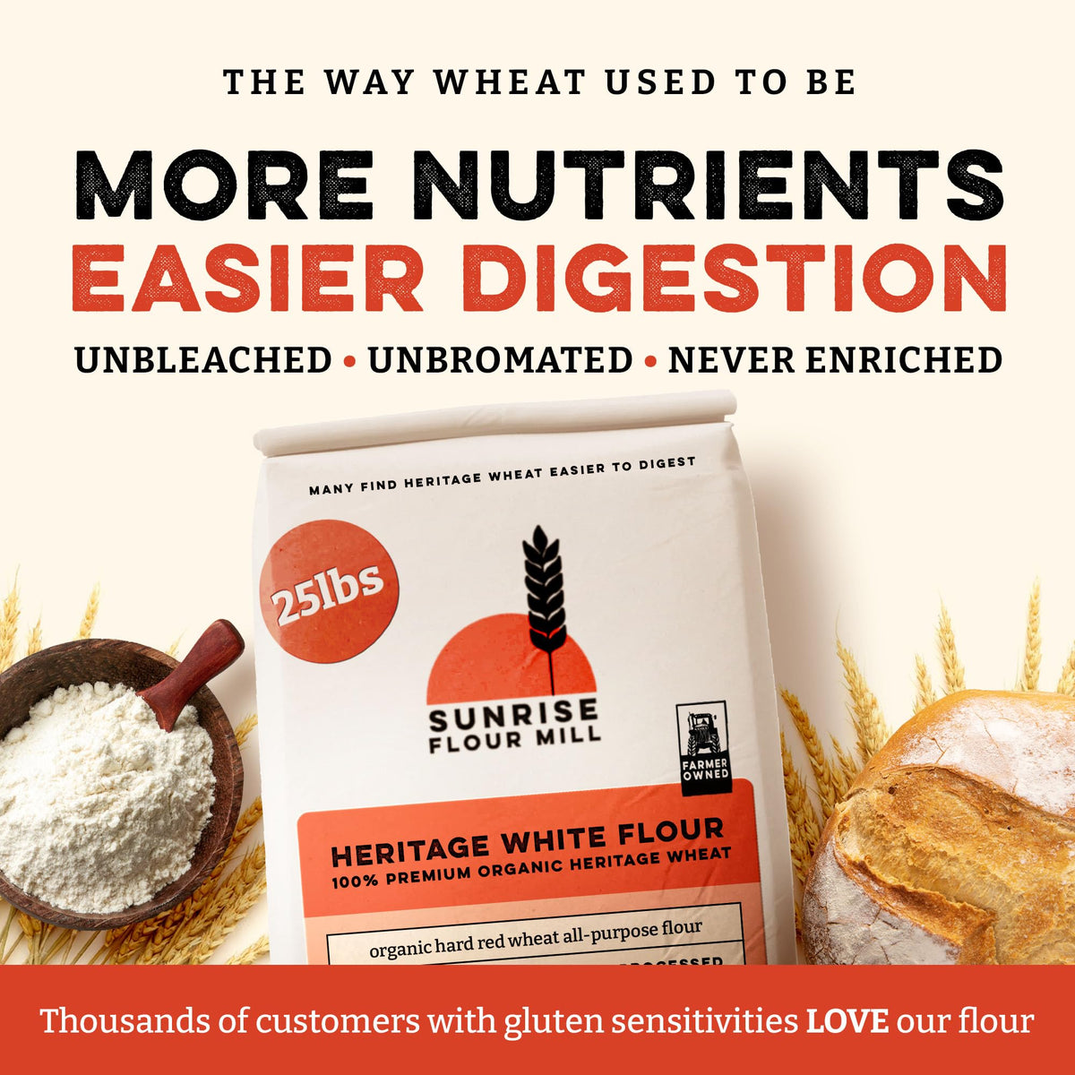Sunrise Flour Mill heritage wheat dough texture highlighting chew and structure