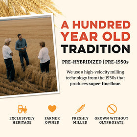 Sunrise Flour Mill heritage wheat field at sunrise, a sustainable baking option.