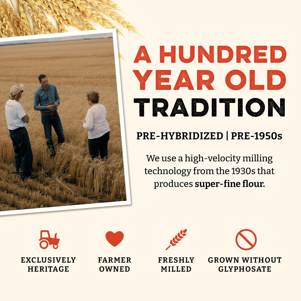 Sunrise Flour Mill nutrition label signals quality and micronutrient content