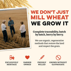 Sunrise Flour Mill organic, non-GMO wheat berries in packaging.