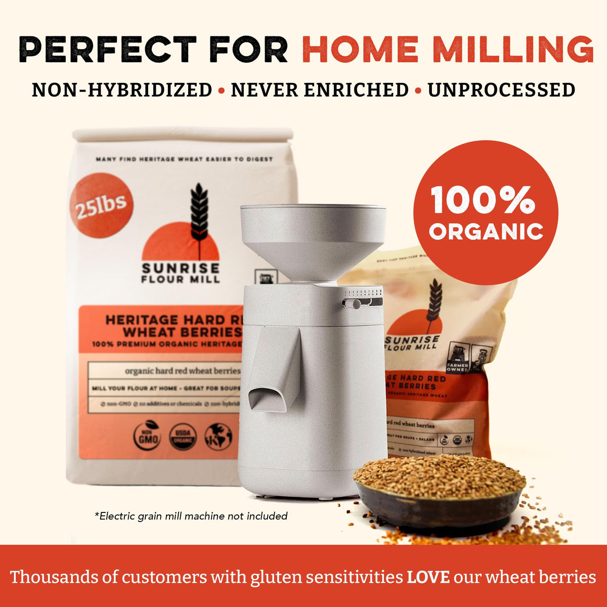 Sunrise Flour Mill heritage wheat berries for cooking and sprouting ideas