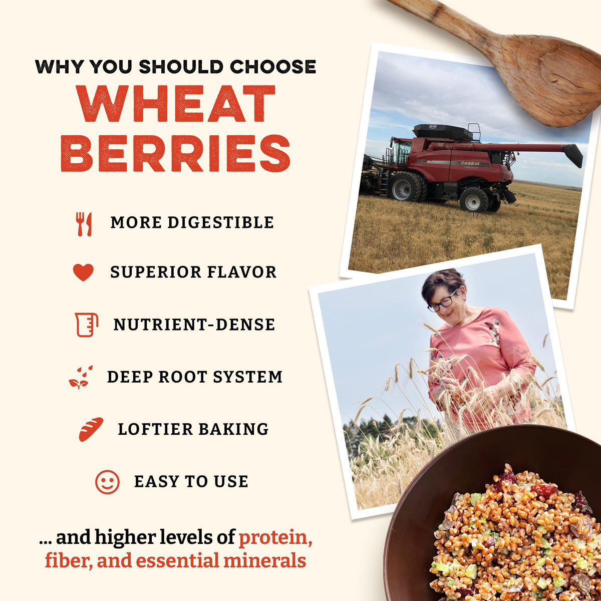 Sunrise Flour Mill wheat berries milling-ready image highlights versatile grain