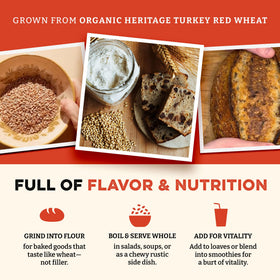 Sunrise Flour Mill wheat berries sprouting to boost salads and bowls.