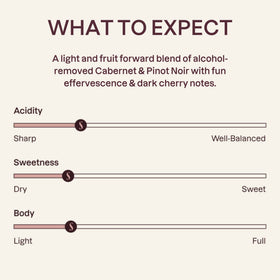 Surely De-Alcoholized Red Wine glass pour shows light bubbly body and dry finish.