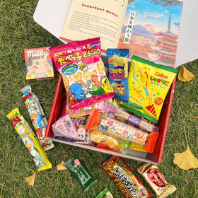 SurpriseBox English information pamphlet helps first-time tasters understand items.