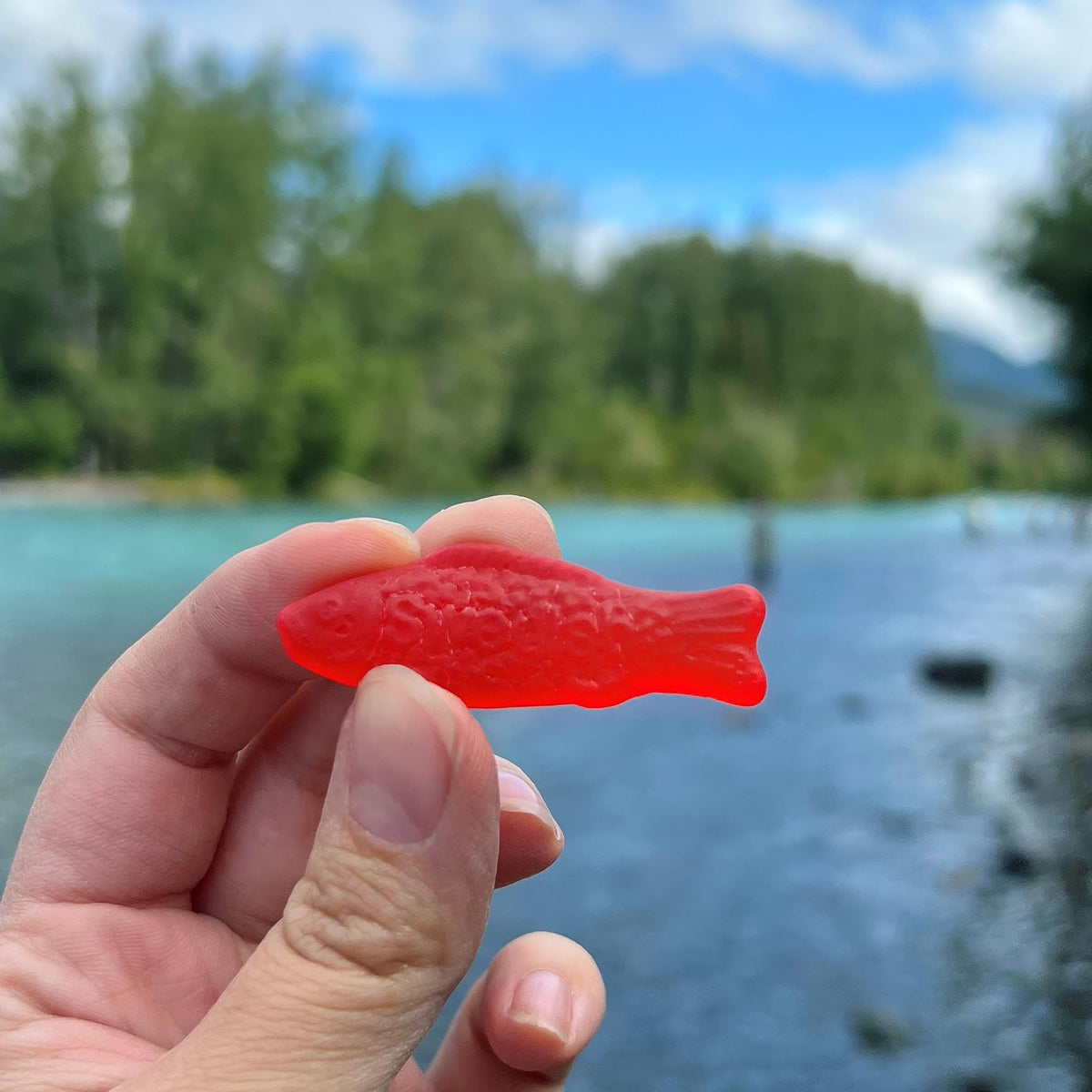 Swedish Fish sealed packaging preserves soft texture until ready to enjoy.