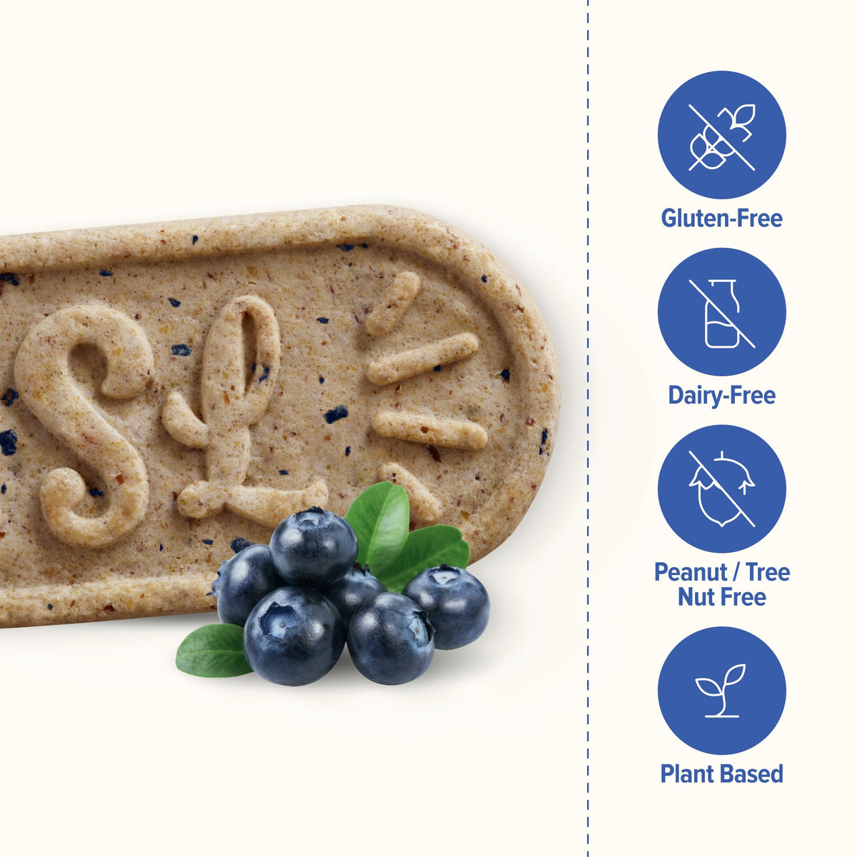 Sweet Loren's Blueberry Breakfast Biscuits 8-pack caddy ready for sharing.