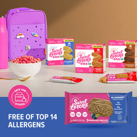 Sweet Loren's Blueberry Breakfast Biscuits kid-friendly snack for school mornings.