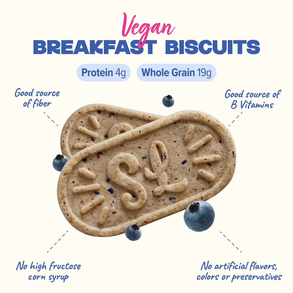 Close-up of Sweet Loren's blueberry biscuits texture: crunchy edges, soft centers
