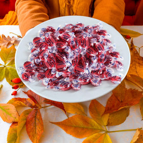 Travel-friendly SweetSide sugar-free cinnamon candy on the go