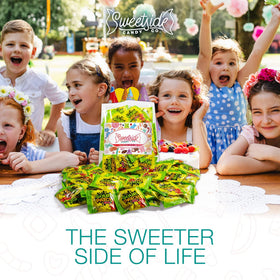 SWEETSIDE CANDY CO SourPatch Kids party favor bag for celebrations.
