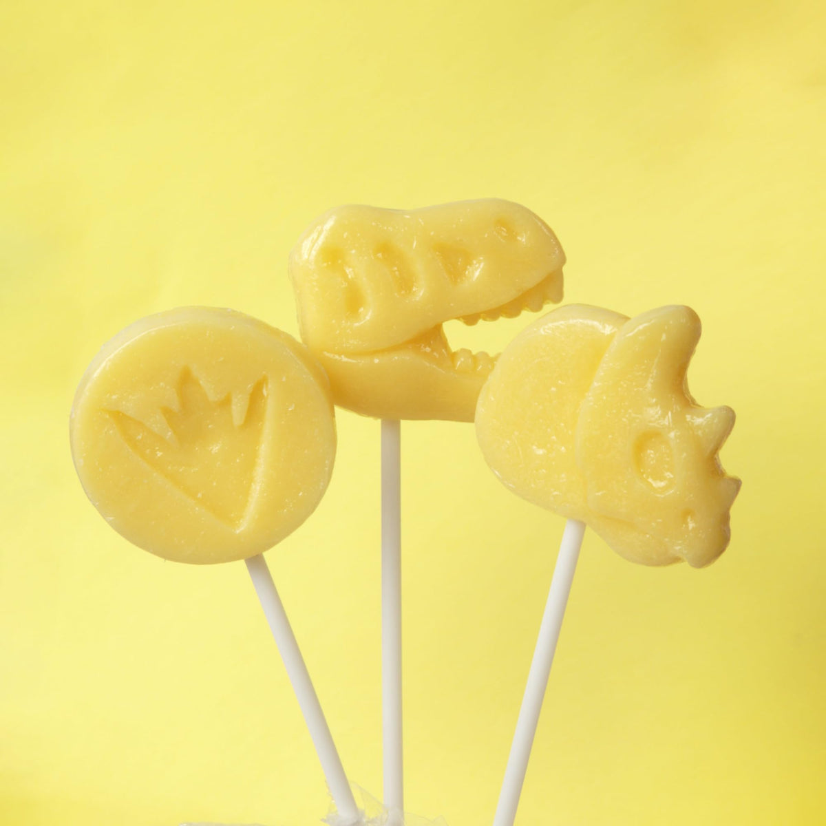 Sweetzo party display with fossil lollipops adds whimsical charm.