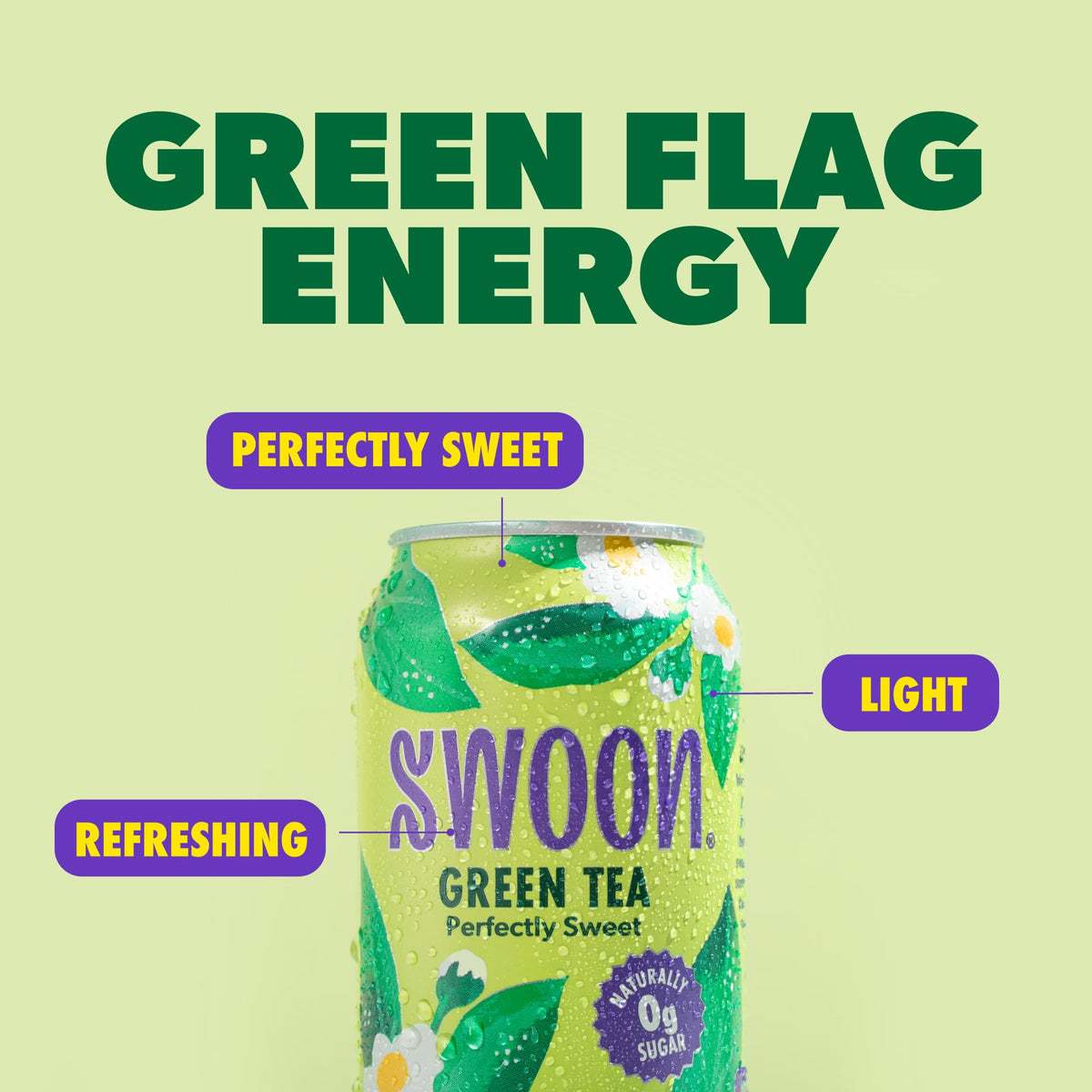 Close-up of Swoon Perfectly Sweet Green Tea ingredients with monk fruit and stevia.