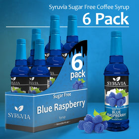 Bulk packaging of SYRUVIA syrup designed for cafes and beverage bars