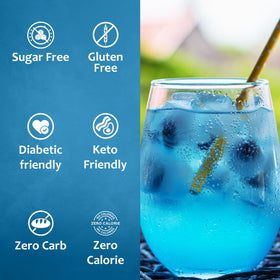 SYRUVIA sugar-free blueberry syrup dessert topping adds fruity flair