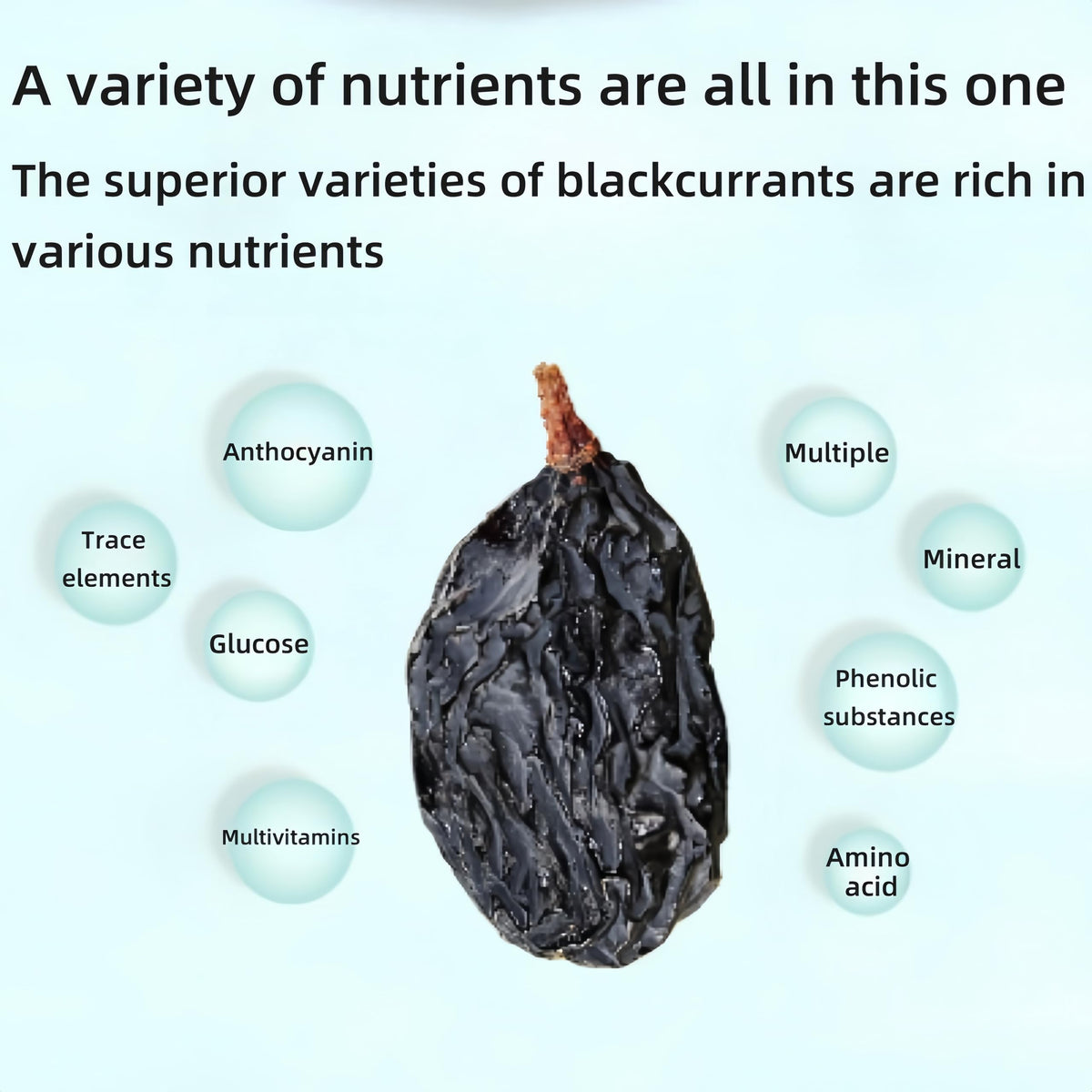 SYZJMWDY blackcurrants enrich baked goods with concentrated flavor and natural sweetness.