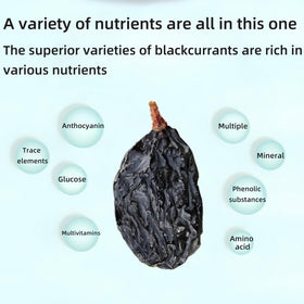 SYZJMWDY blackcurrants enrich baked goods with concentrated flavor and natural sweetness.