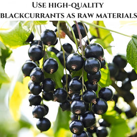Close-up of SYZJMWDY dried blackcurrants reveals chewy texture and vibrant color ideal for trail mixes.
