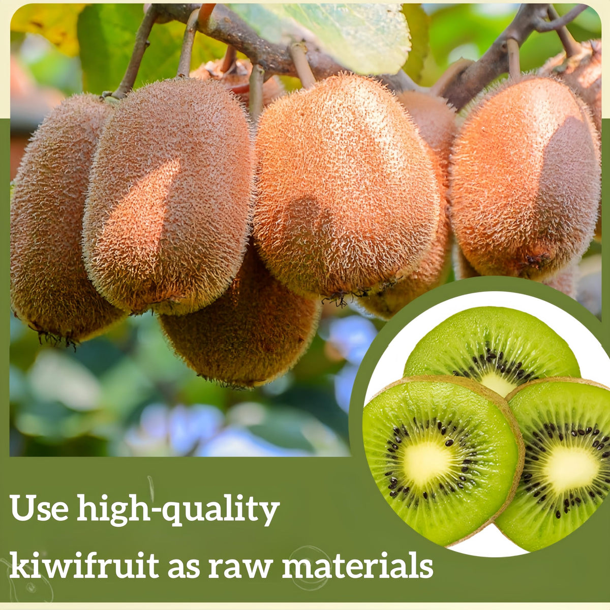 SYZJMWDY kiwi bites showing bright color for on-the-go snacking.