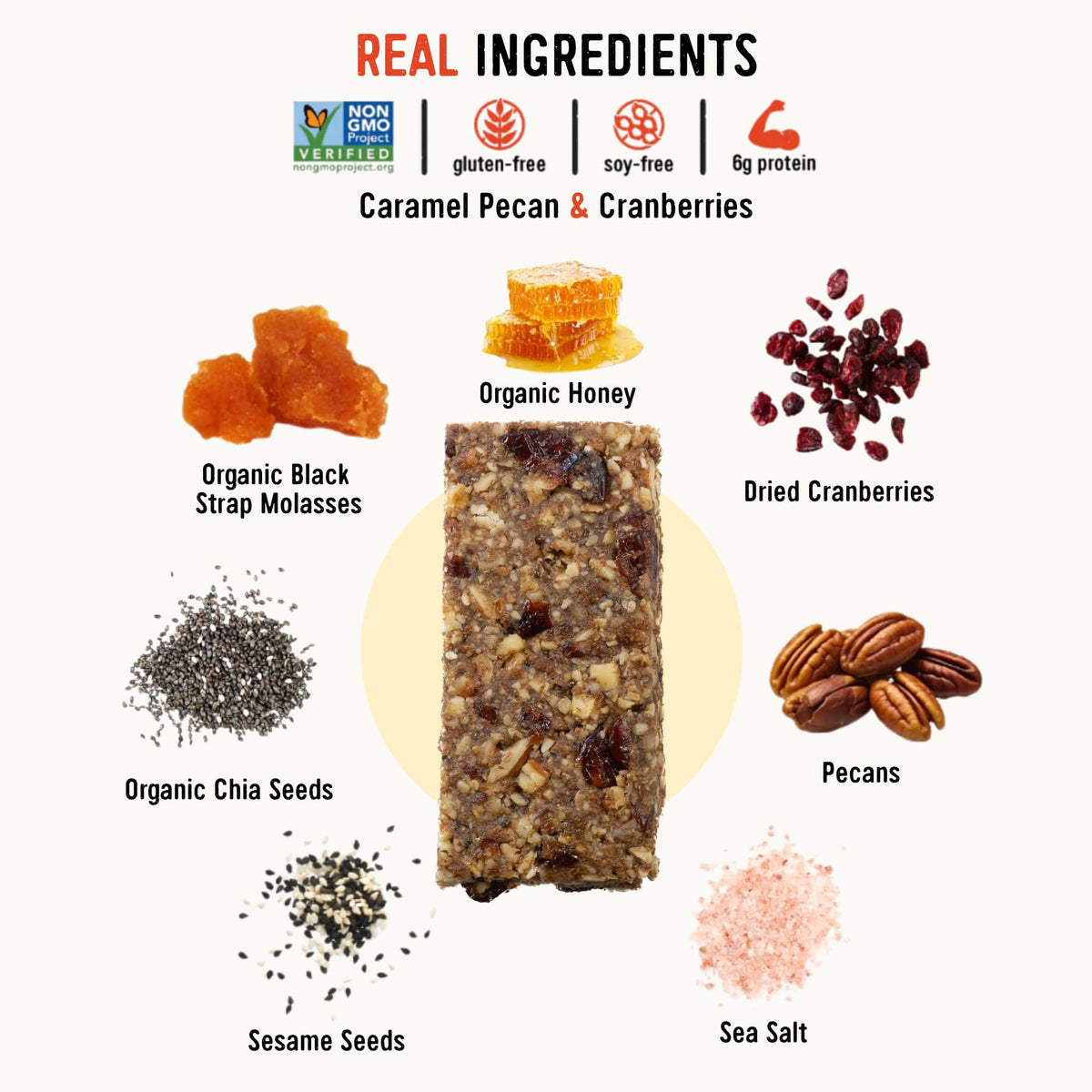 Taos Bakes bar slice reveals cranberries and sesame seeds, flavorful crunch.