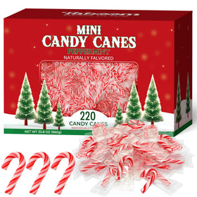 Taboom bulk mini candy canes packaging shows 240 individually wrapped treats for easy sharing.