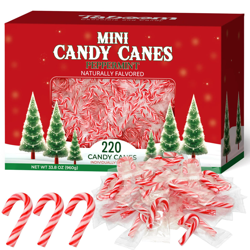 Taboom bulk mini candy canes packaging shows 240 individually wrapped treats for easy sharing.