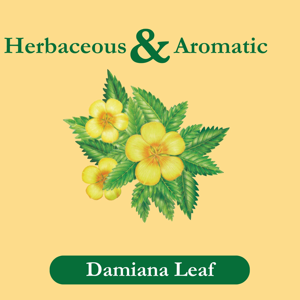 Tadin Damiana Tea bags close-up, caffeine-free comfort for evenings.