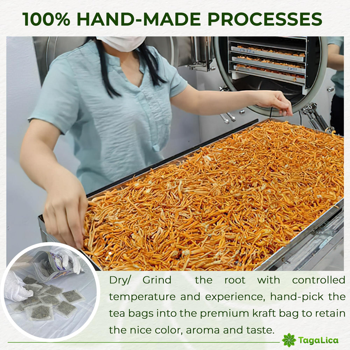 Biodegradable tea bags in compost-friendly packaging for eco-conscious users