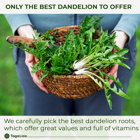 Tagalica Dandelion Root Powder label shot communicates premium quality and clear sourcing.