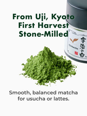 TAGASHIRA CHAHO Uji no Shiro matcha powder closeup showing vibrant emerald texture.