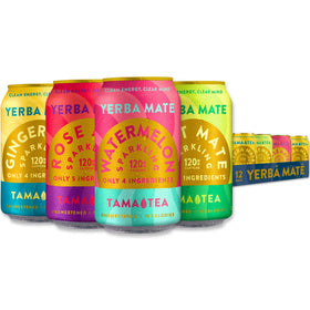 Tama Tea Ginger sparkling yerba mate can with crisp energy