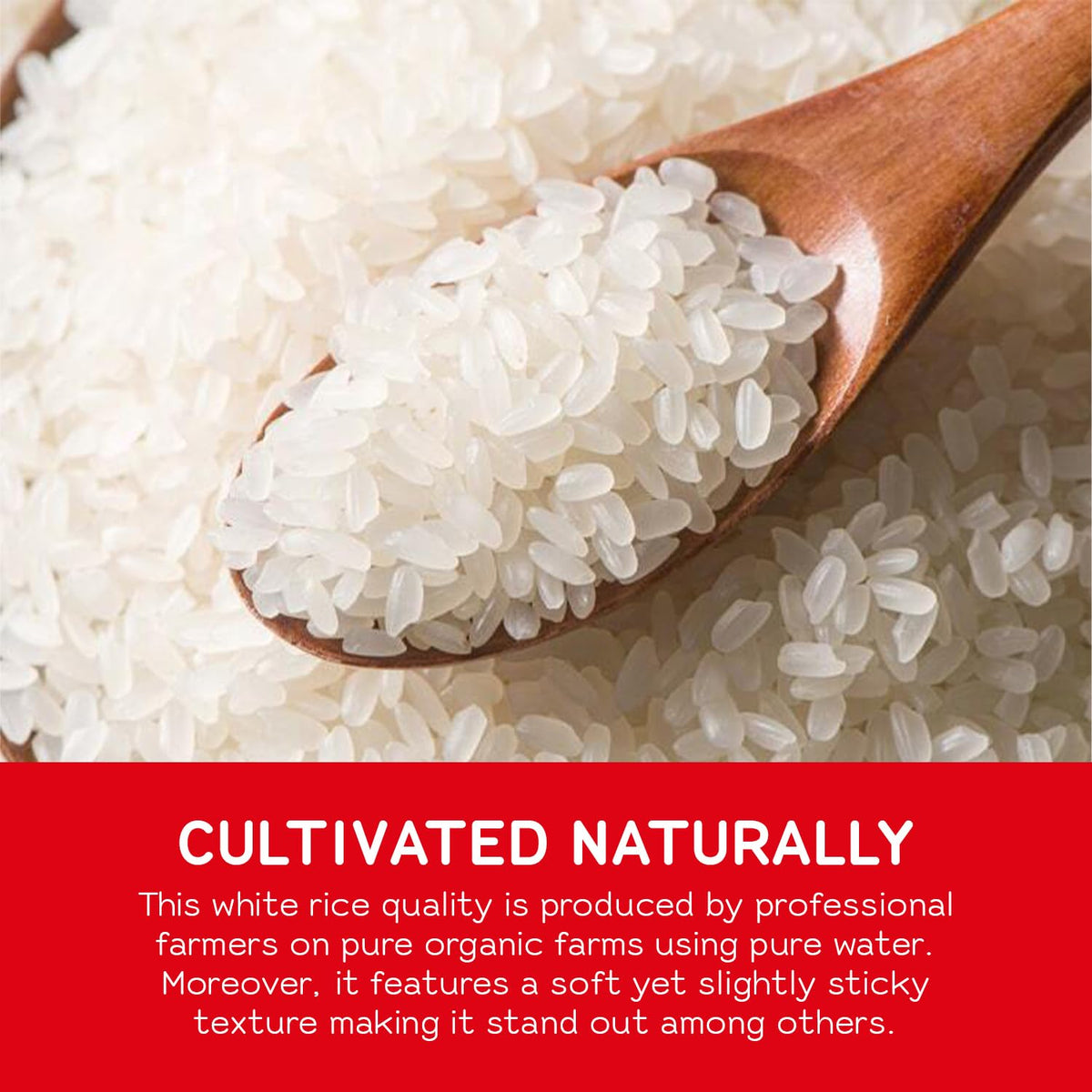 Tamaki Gold Rice from organic farms with pure water sourcing. (alt text for image 6)