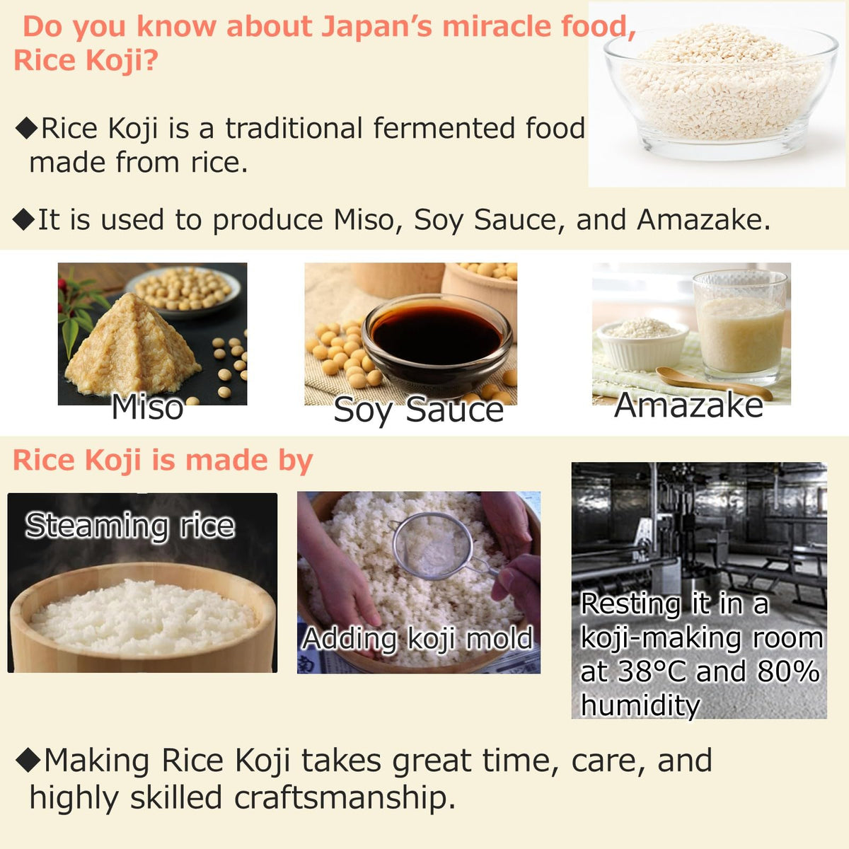TANICA Rice Koji bag sealed to preserve freshness for future batches