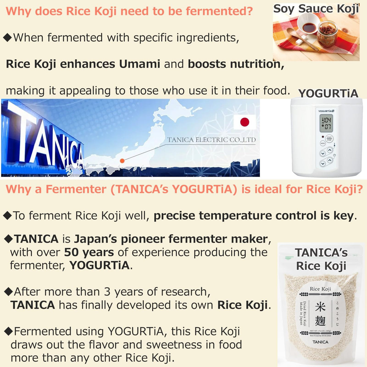 TANICA Rice Koji bowl with amazake fermenting in progress