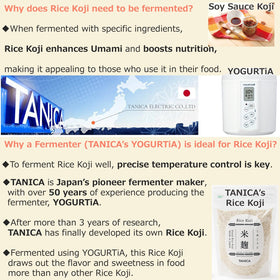 TANICA Rice Koji bowl with amazake fermenting in progress