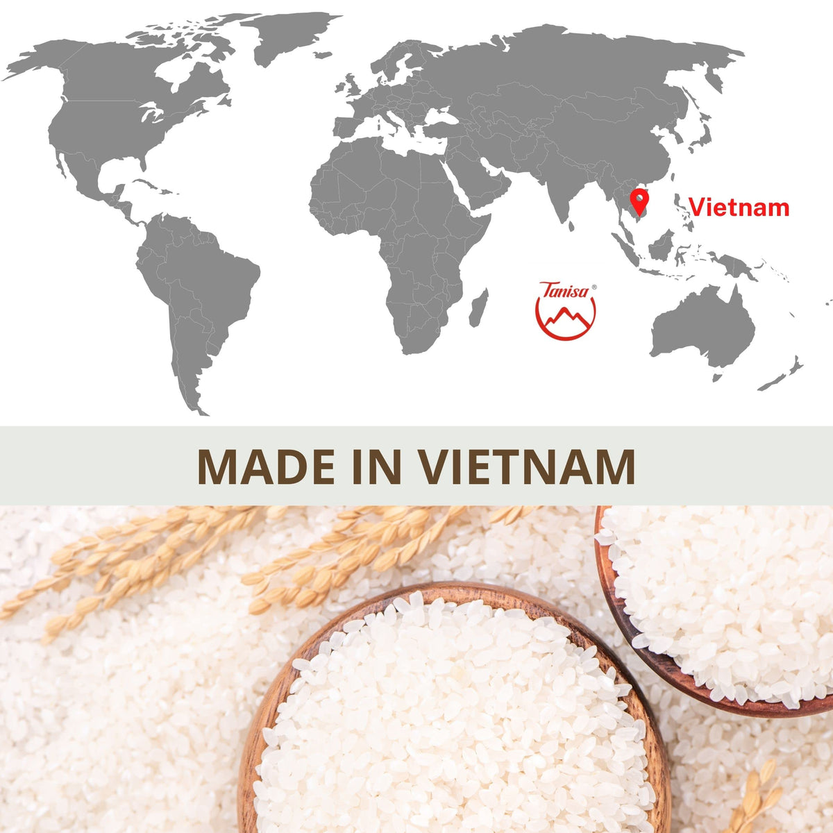 TANISA ready-to-serve vermicelli suitable for cold noodle salads.