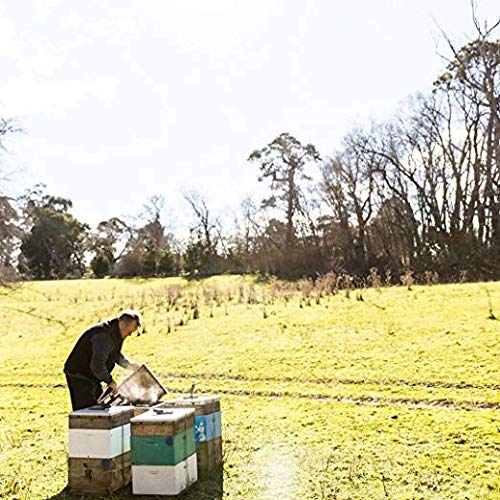 Tasmanian Honey Leatherwood rainforest collection bottle highlights pristine sourcing and nuanced aroma.