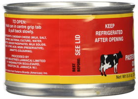 Tastee Cheese Jamaican melt, drip highlighting creamy texture for grilled cheese.