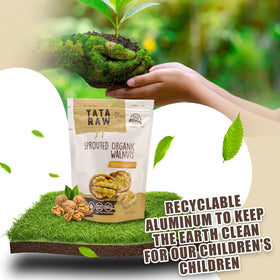 TATA RAW sprouted maple walnuts in a bowl ready to snack