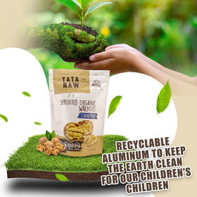 TATA RAW Cinnamon sprouted walnuts on a spoon, quick healthy snack.