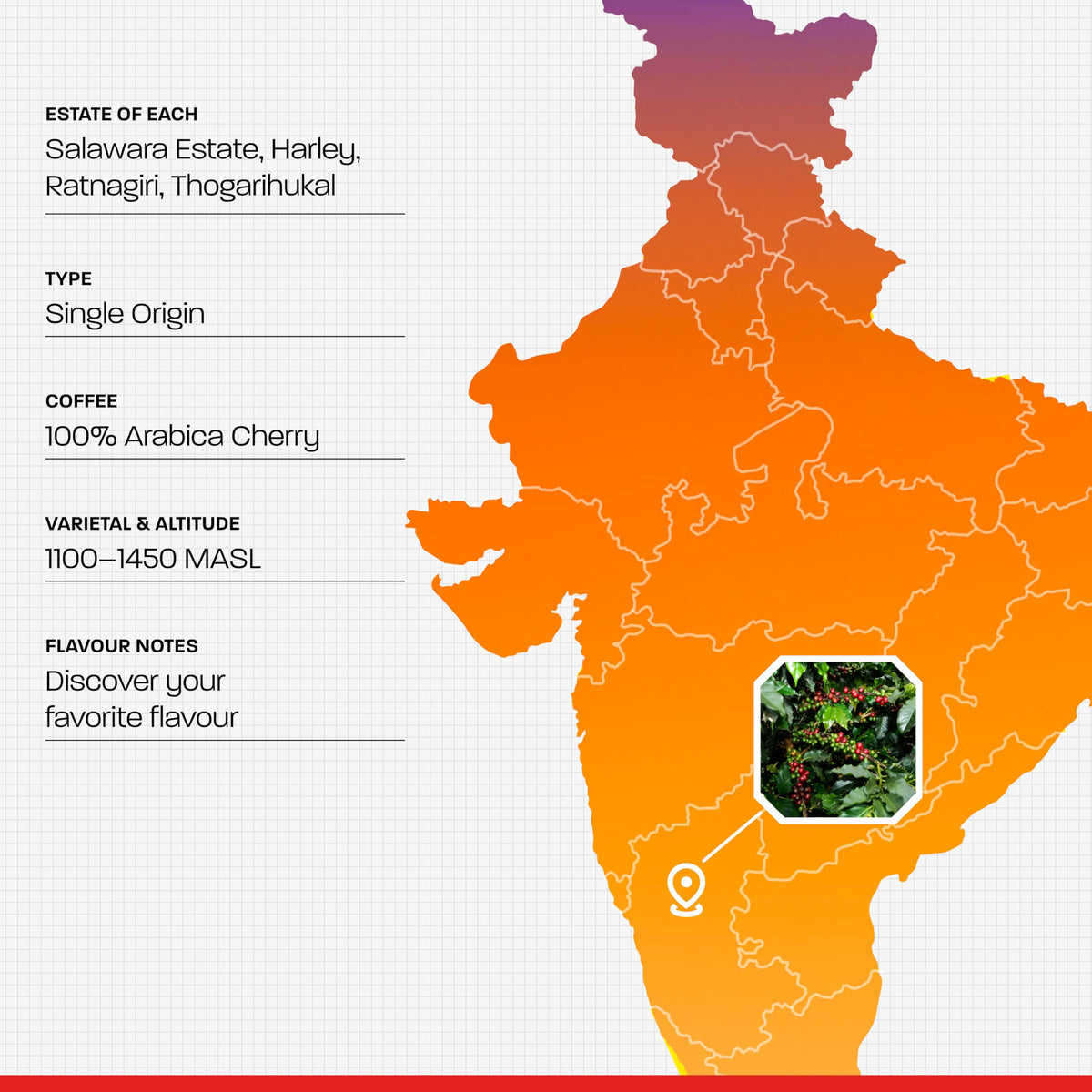 Tavaasa direct-trade Indian estates for traceable, ethically sourced coffee.