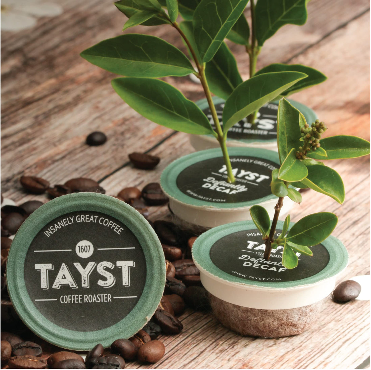 Tayst coffee beans selection close-up highlighting premium sourcing