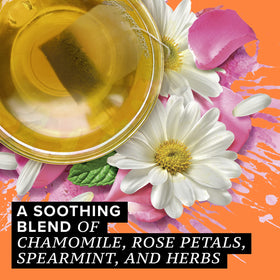 Evening moment with TAZO Calm Chamomile tea for relaxation.