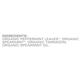 Steeping Tazo Refresh Mint for a soothing, minty cup of herbal tea.